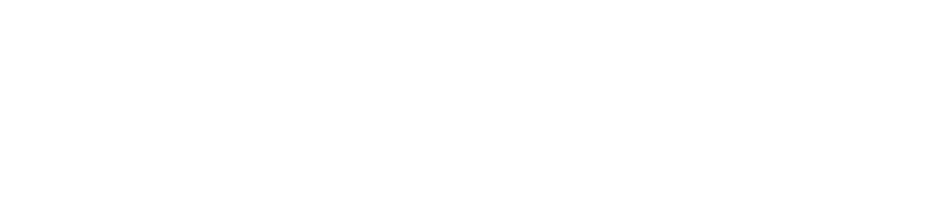 Fitgun UK